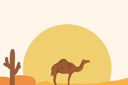 51网网址 HTTPS 改造记：搜索权重上涨实验报告