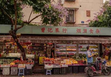 新手指南《每日大赛51》版权逻辑必读