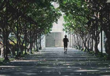 麻豆网安全防线·跨界合作红与黑