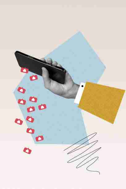 运营白皮书《P站官方官网》用户画像快报